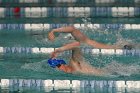 Swimming vs Babson  Wheaton College Swimming vs Babson College. - Photo By: KEITH NORDSTROM : Wheaton, Swimming, Babson